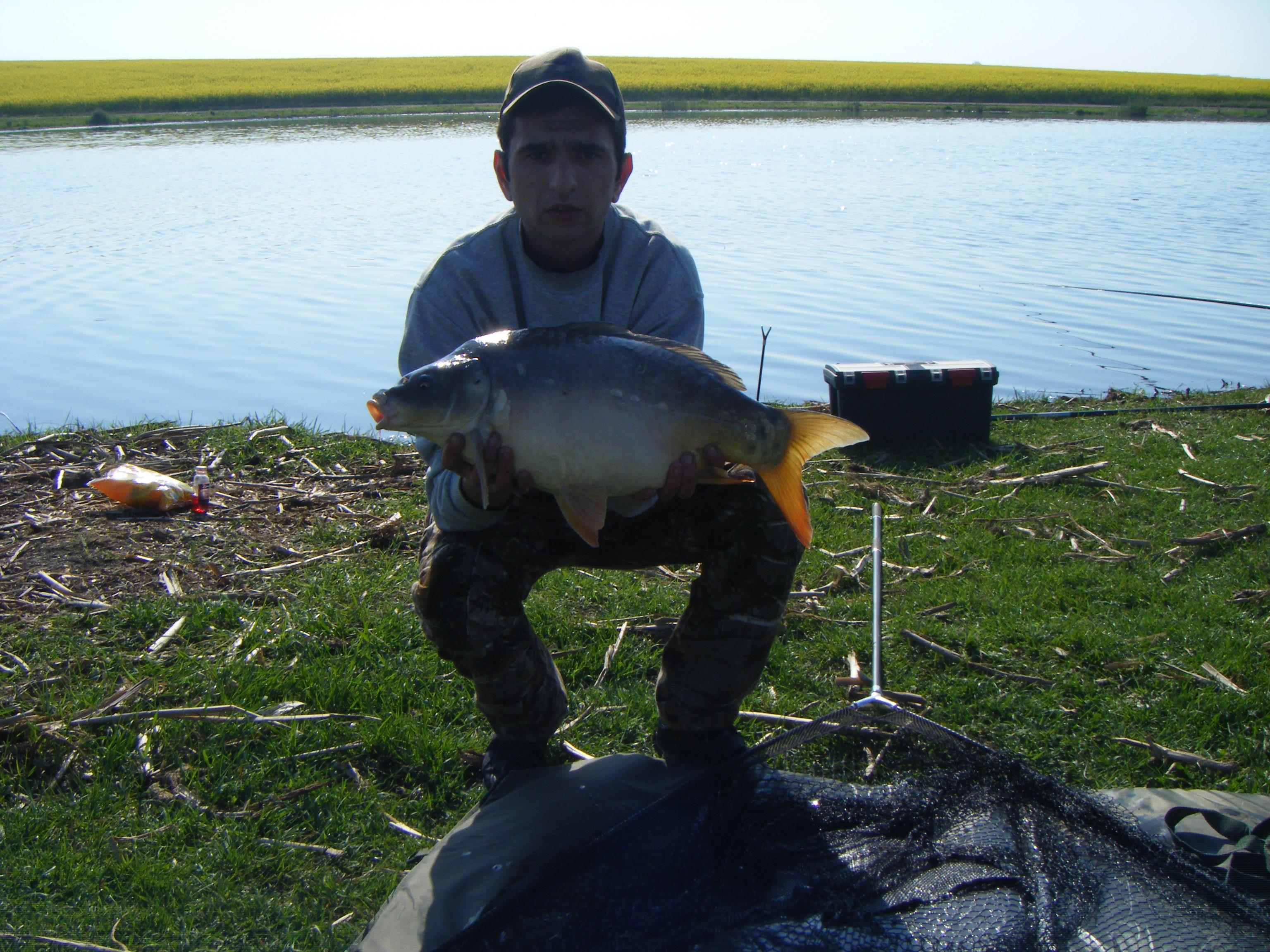 Chiroiu 4  - DSCF1101.JPG